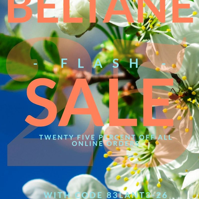 Beltane Flash Sale 25% Off Handcrafted Metaphysical Jewellery with daisy background - Limited Time Offer